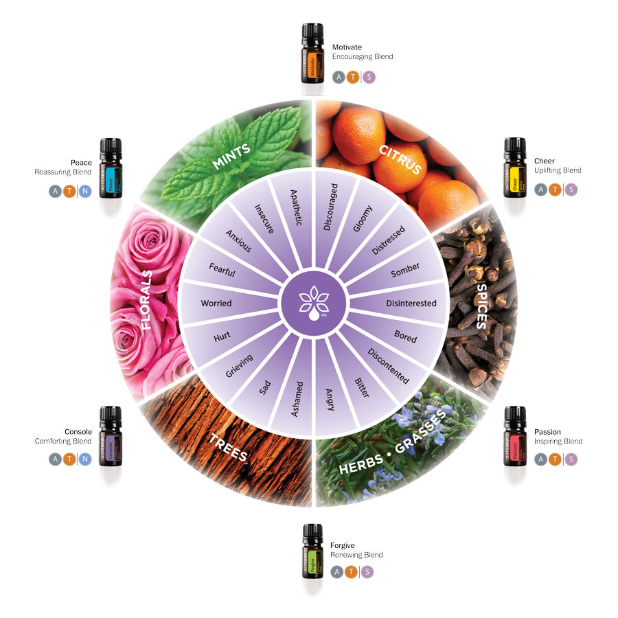 doTERRA Emotional Aromatherapy Touch Kit – Wild Lotus Oils Australia