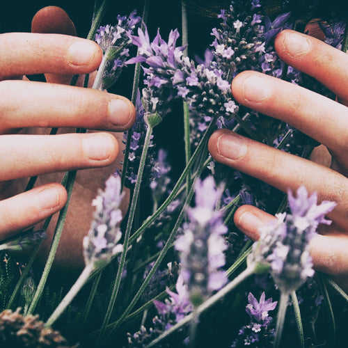 Introduction to Essential Oils